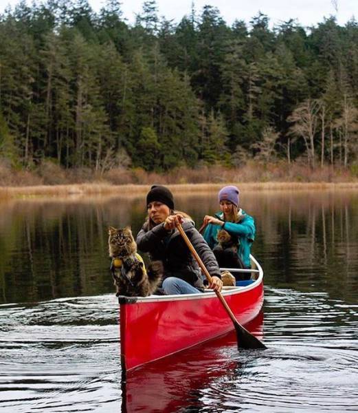 daily picdump 104 pics 12.html - 104 HD Photos | Premium Gallery 2017