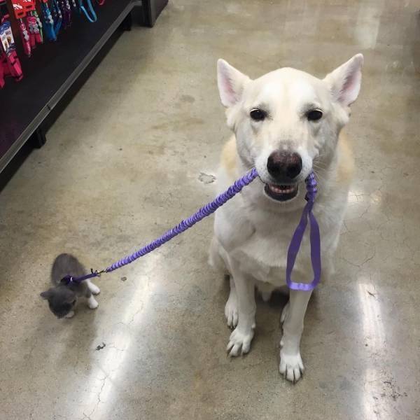 daily picdump 104 pics 12.html - 104 HD Photos | Premium Gallery 2017