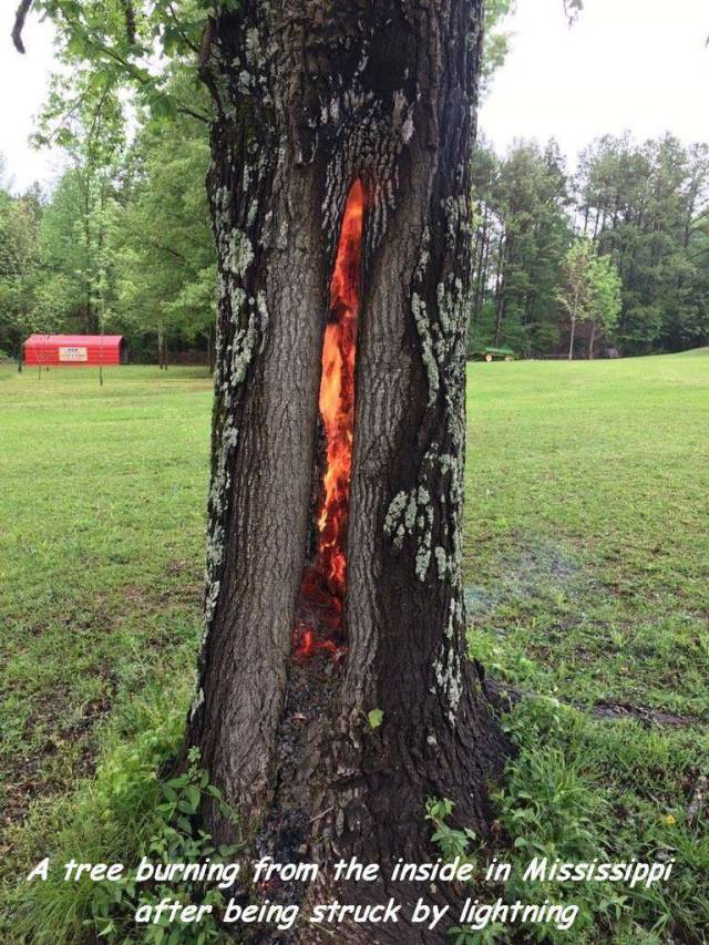 daily picdump 104 pics 12.html - 104 HD Photos | Premium Gallery 2017