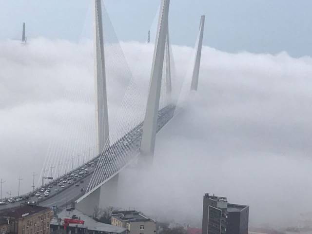 daily picdump 106 pics 51.html - 106 HD Photos | Premium Gallery 2017