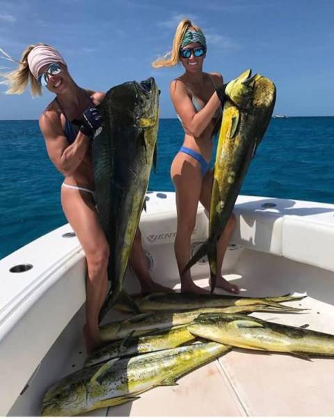 daily picdump 106 pics 51.html - 106 HD Photos | Premium Gallery 2017