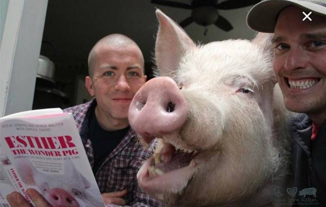 daily picdump 106 pics 51.html - 106 HD Photos | Premium Gallery 2017