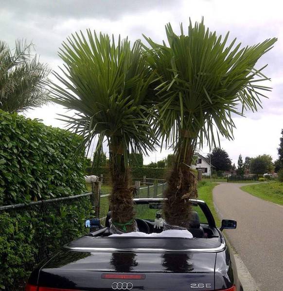 daily picdump 106 pics 51.html - 106 HD Photos | Premium Gallery 2017