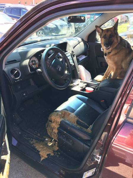 daily picdump 106 pics 51.html - 106 HD Photos | Premium Gallery 2017