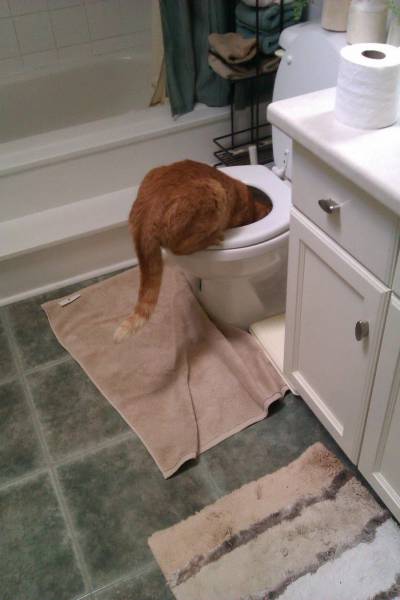 daily picdump 106 pics 51.html - 106 HD Photos | Premium Gallery 2017