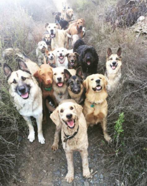 daily picdump 106 pics 51.html - 106 HD Photos | Premium Gallery 2017