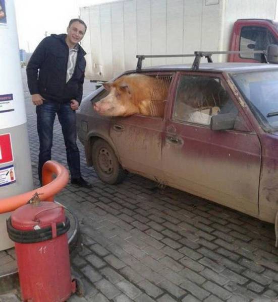 daily picdump 106 pics 51.html - 106 HD Photos | Premium Gallery 2017