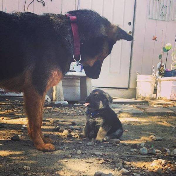 morning picdump 50 pics 18.html - 50 HD Photos | Premium Gallery 2017