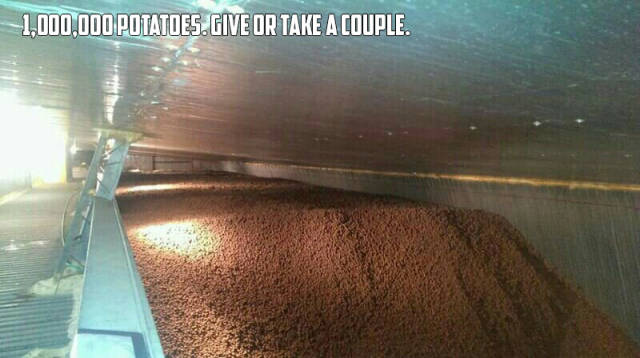 morning picdump 50 pics 18.html - 50 HD Photos | Premium Gallery 2017