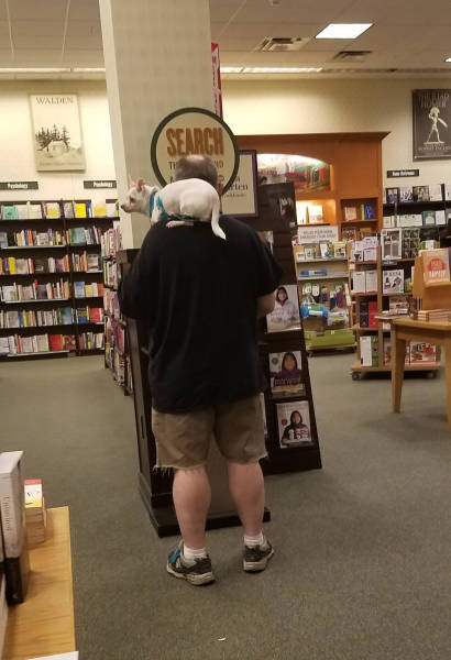 morning picdump 50 pics 18.html - 50 HD Photos | Premium Gallery 2017