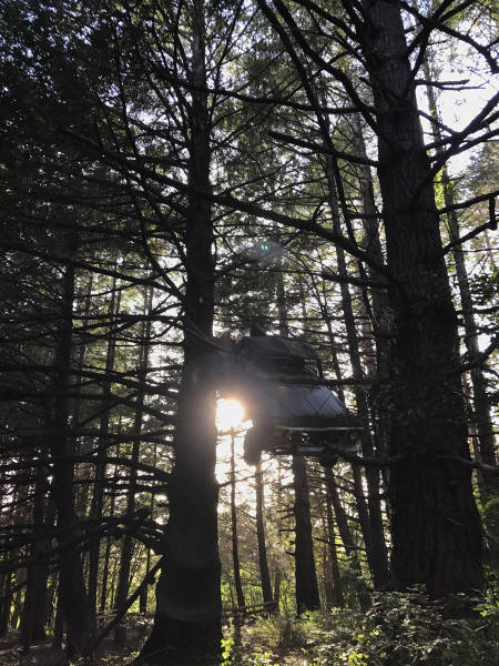 morning picdump 50 pics 18.html - 50 HD Photos | Premium Gallery 2017