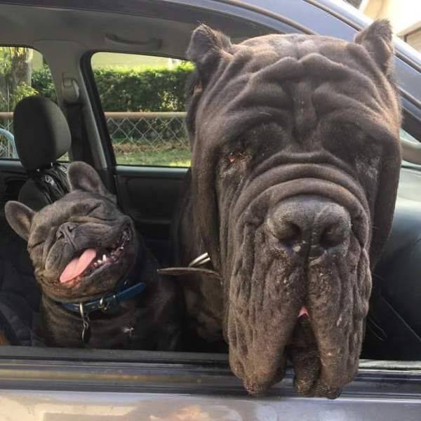 daily picdump 92 pics 45.html - 92 HD Photos | Premium Gallery 2017