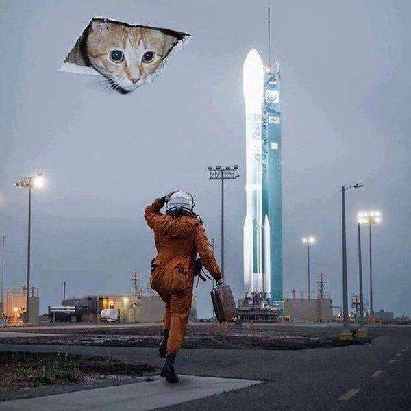 daily picdump 92 pics 45.html - 92 HD Photos | Premium Gallery 2017