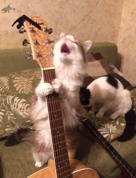 daily picdump 92 pics 45.html - 92 HD Photos | Premium Gallery 2017