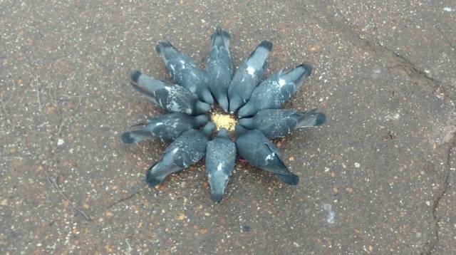 daily picdump 92 pics 45.html - 92 HD Photos | Premium Gallery 2017