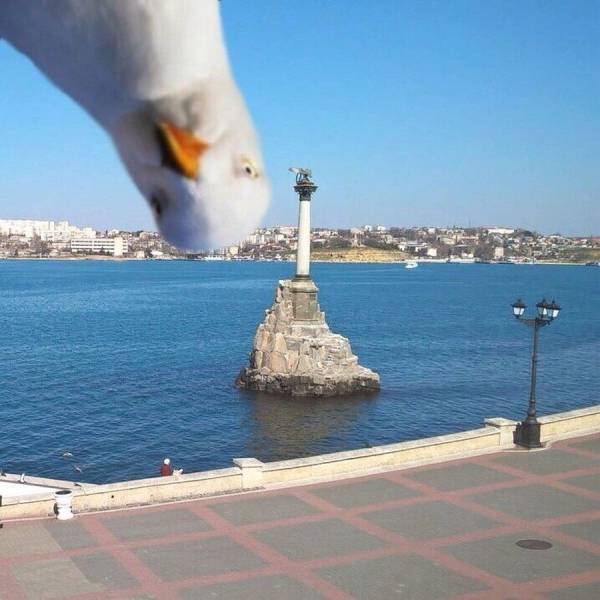 daily picdump 92 pics 45.html - 92 HD Photos | Premium Gallery 2017