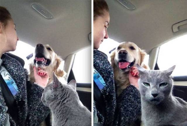 daily picdump 92 pics 45.html - 92 HD Photos | Premium Gallery 2017