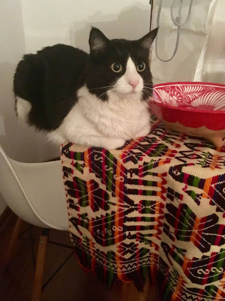 morning picdump 51 pics 15.html - 51 HD Photos | Premium Gallery 2017