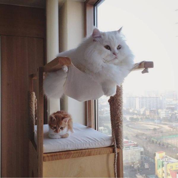 daily picdump 97 pics 38.html - 97 HD Photos | Premium Gallery 2017