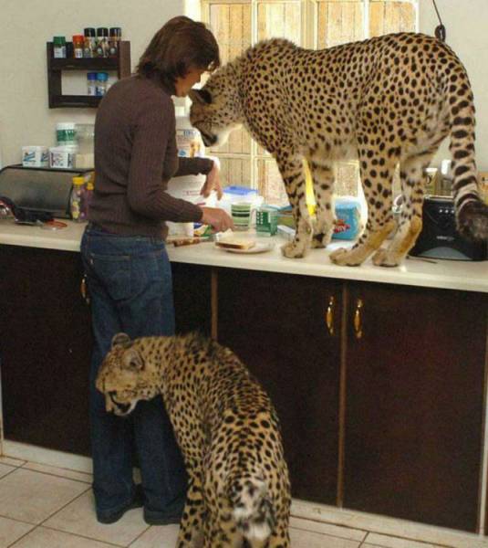 daily picdump 97 pics 38.html - 97 HD Photos | Premium Gallery 2017