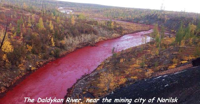 daily picdump 97 pics 38.html - 97 HD Photos | Premium Gallery 2017