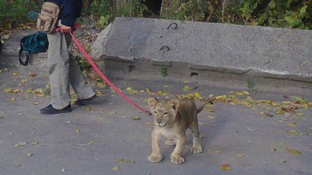 daily picdump 97 pics 38.html - 97 HD Photos | Premium Gallery 2017