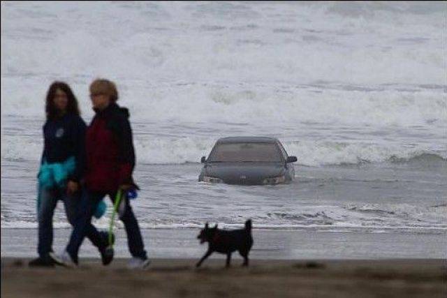 daily picdump 97 pics 38.html - 97 HD Photos | Premium Gallery 2017