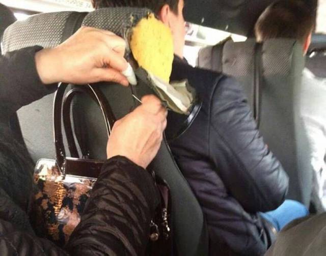 daily picdump 97 pics 38.html - 97 HD Photos | Premium Gallery 2017