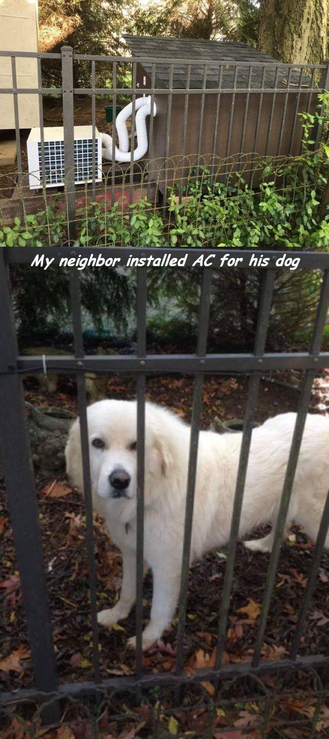 daily picdump 97 pics 38.html - 97 HD Photos | Premium Gallery 2017