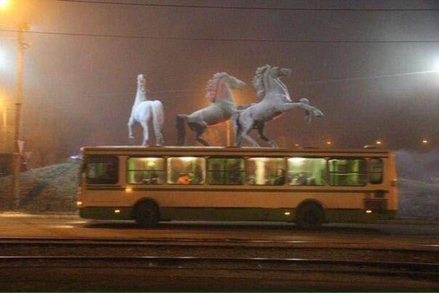 Morning Picdump