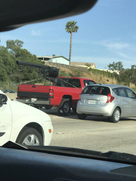 Morning Picdump