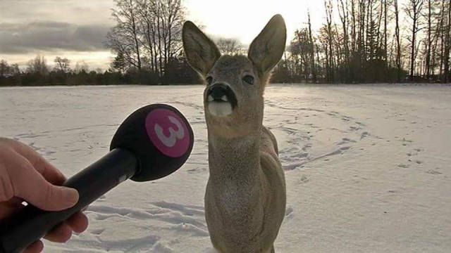 morning picdump 50 pics 9.html - 50 HD Photos | Premium Gallery 2017