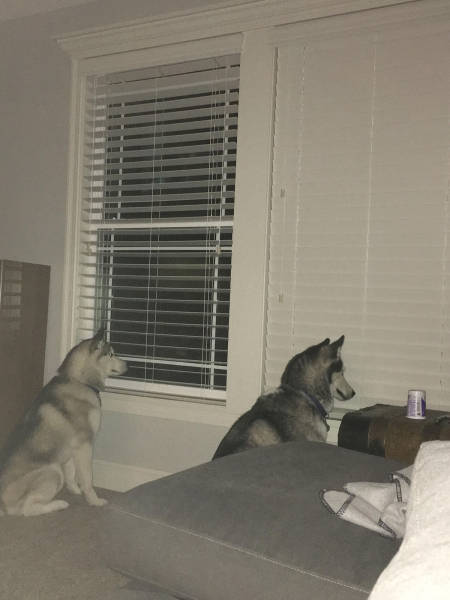 morning picdump 50 pics 9.html - 50 HD Photos | Premium Gallery 2017