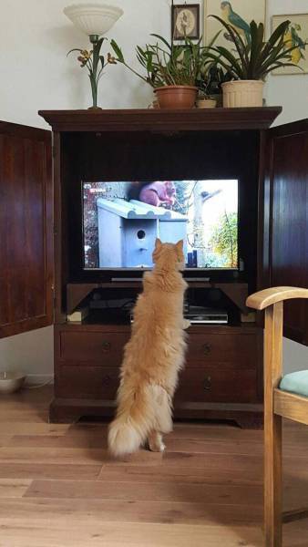 daily picdump 97 pics 2.html - 97 HD Photos | Premium Gallery 2017