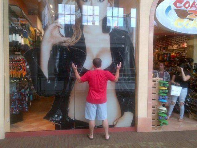 daily picdump 97 pics 2.html - 97 HD Photos | Premium Gallery 2017