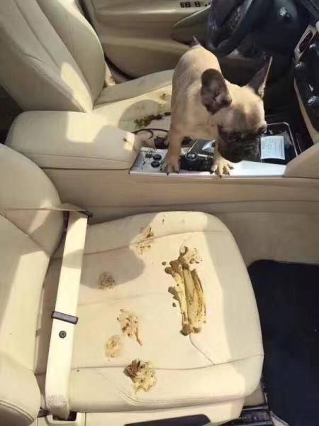 daily picdump 97 pics 2.html - 97 HD Photos | Premium Gallery 2017