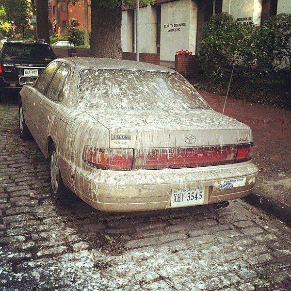 daily picdump 97 pics 2.html - 97 HD Photos | Premium Gallery 2017