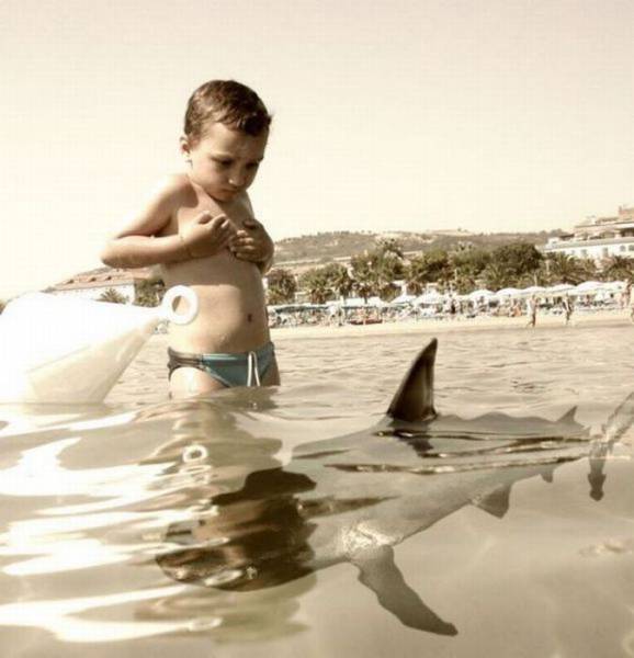 daily picdump 97 pics 2.html - 97 HD Photos | Premium Gallery 2017