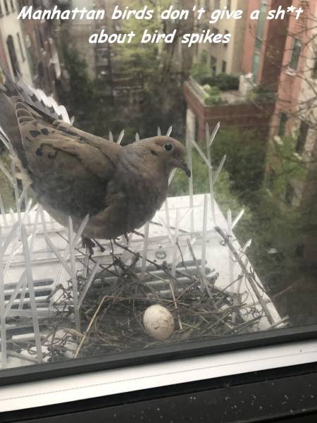 daily picdump 97 pics 2.html - 97 HD Photos | Premium Gallery 2017