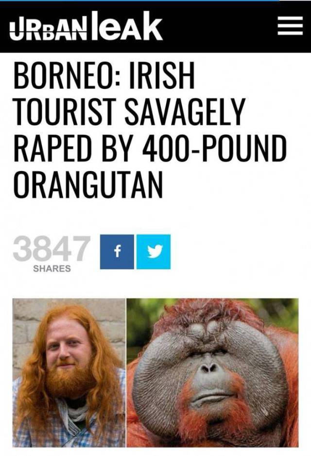 daily picdump 97 pics 2.html - 97 HD Photos | Premium Gallery 2017