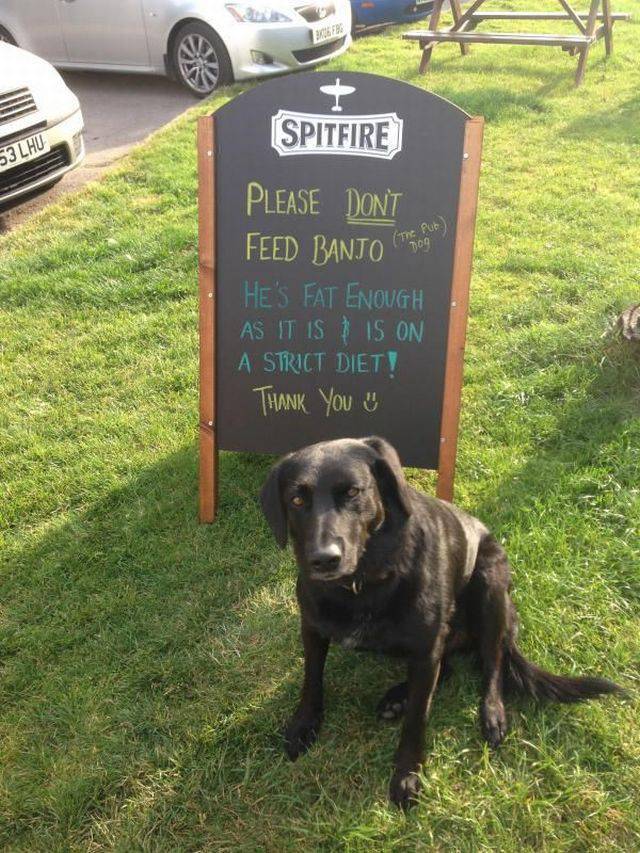 daily picdump 97 pics 2.html - 97 HD Photos | Premium Gallery 2017