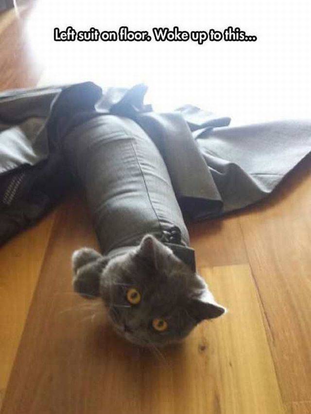 daily picdump 97 pics 2.html - 97 HD Photos | Premium Gallery 2017