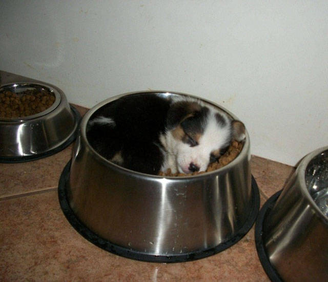 Morning Picdump