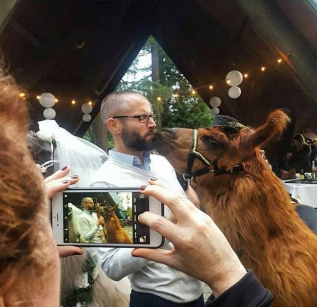 Daily Picdump [WEEKEND EDITION]