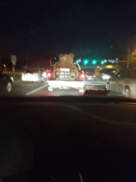 Daily Picdump