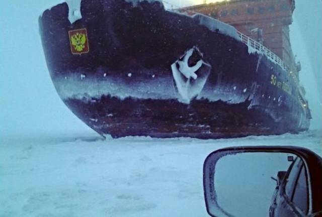 daily picdump 101 pics 38.html - 101 HD Photos | Premium Gallery 2017