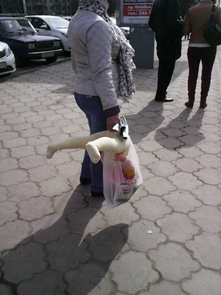 daily picdump 101 pics 38.html - 101 HD Photos | Premium Gallery 2017