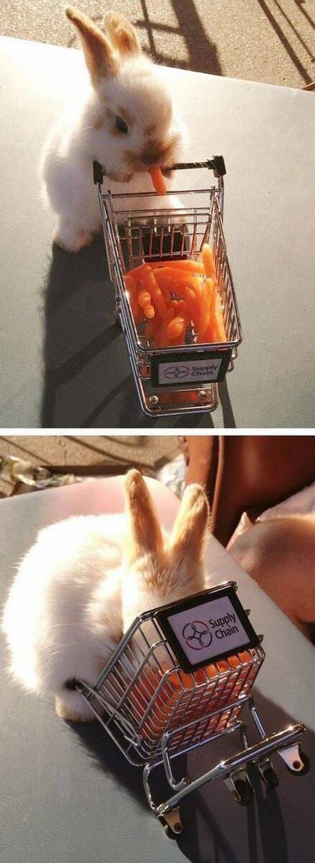 daily picdump 101 pics 38.html - 101 HD Photos | Premium Gallery 2017