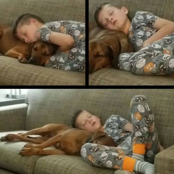 Daily Picdump