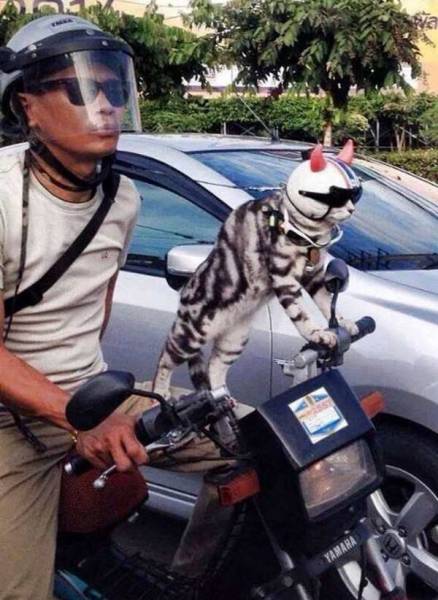 Daily Picdump